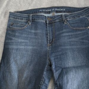 Articles Of Society Dark Wash Skinny Jeans